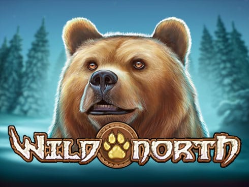 Wild North thumbnail